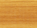 Bergkiefer (50)